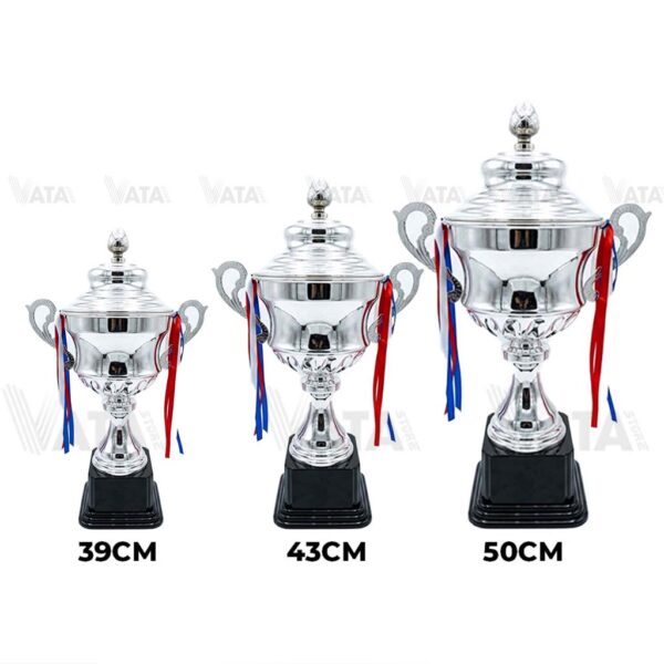 Cup kim loại màu bạc (cup-KL-2003)